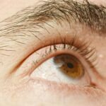 pexels-mypointofview-575444662-25070796